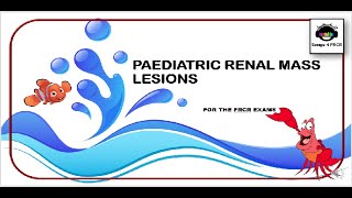 Paediatric Renal Mass Lesions for Radiology Exams [upl. by Atinrahc805]