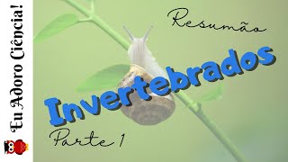 Resumão Reino Metazoa Invertebrados parte 1 [upl. by Zeus]