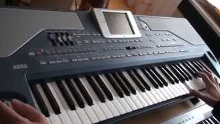 Korg PA 800 demo [upl. by Myron833]