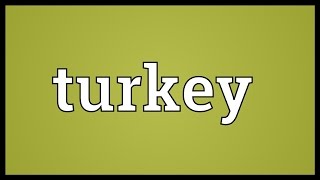 Turkey Meaning [upl. by Aelam]