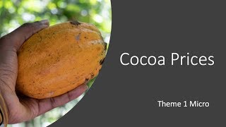 Markets In Action Price Volatility in the Market for Cocoa [upl. by Schilt440]