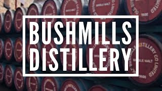 Bushmills Distillery The Oldest Irish Whiskey in Ireland  Whiskey amp Bushmills from 1608 whiskey [upl. by Francoise]