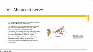 anatomy lect 4 abducent [upl. by Megdal]