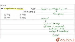 In drupe of coconut the mesocarp is [upl. by Aicert]