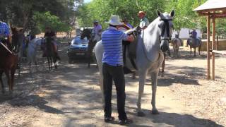 Ganaderos de Pruna a Ronda Viaje del siglo XIX en el siglo XXImov [upl. by Ahsem]