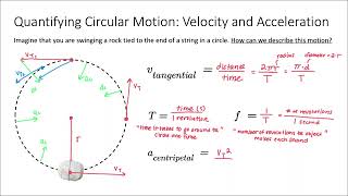 Tangential Velocity and Centripetal Acceleration [upl. by Hacim810]