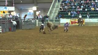 Williams NC Rodeo  Bull Jumps Into Crowd [upl. by Ahtnamas982]