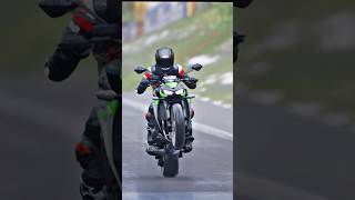 Kawasaki Ninja Z1000 insane wheelie stunt shorts [upl. by Annoyik]