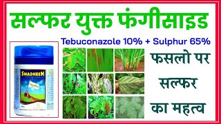 Tebuconazole 10  Sulphur 65 WG Fungicide Swadheen  Contact and Systemic  फफूंद नाशक [upl. by Radford937]