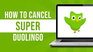 How To Cancel Super Duolingo [upl. by Nwonknu460]