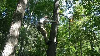 76 Platform vs rings of steps maneuvering around tree using tree as buffer shooting amp much more [upl. by Levana]