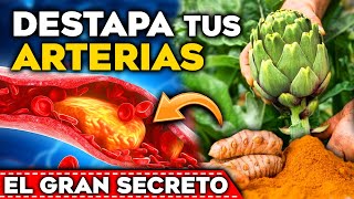 ¡LIMPIA tus ARTERIAS Come estos 4 ALIMENTOS y MIRA sus EFECTOS en tu CUERPO  BAJAR el COLESTEROL [upl. by Salahcin]