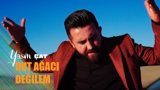 Yasin Çat  Dut Ağacı Değilem [upl. by Meeharbi]