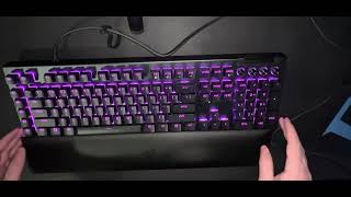 Razer Blackwidow V4 Yellow Switch  Unboxing [upl. by Yntrok]