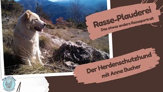 RassePlauderei über Herdenschutzhunde mit Anne Bucher [upl. by Woo]