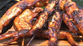 How to Grill Asian Style Chicken Wings  Recipe [upl. by Navetse]