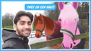 DIT ZIJN MIJN 25 VERZORGPAARDEN  WEEKVLOG 004 [upl. by Blaze599]