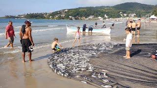 Garopaba 050524 peixes nas bancas de manhã e cerco de paratis à tarde pescarias garopaba [upl. by Notnats]