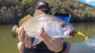 Hawkesbury River  Jewfish and Flathead Hobie Kayak Fishing [upl. by Saticilef]