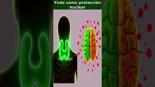 💊 Yodo Protección en Casos de Radiación ⚛️🛡️ [upl. by Nett]