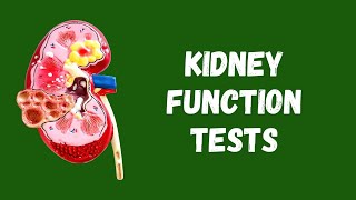 Renal Function Test  Kidney Function Test  Urine Formation  Structure of Nephron [upl. by Ado]