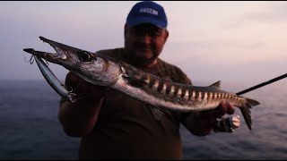 Lastovo otok bogatog mora i nepristupačnih obala [upl. by Legnaleugim]