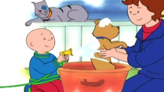 Caillou auf Deutsch neue Folgen ★ Caillou und der Hund Waschen ★ HD 2019 ✔ Cartoon auf Deutsch [upl. by Ynettirb961]