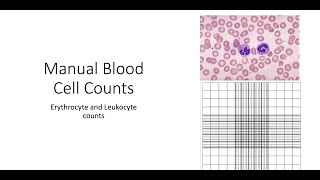 Manual Blood Cell counts [upl. by Dranyam928]