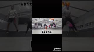 Bopha amapiano dance moves [upl. by Nyved822]