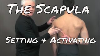 Setting and Activating the Scapula  Ask Dr Abelson [upl. by Dustie]