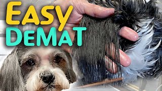 2 EASY WAYS to DeMat your DOG at home NATURALLY [upl. by Schlessinger180]