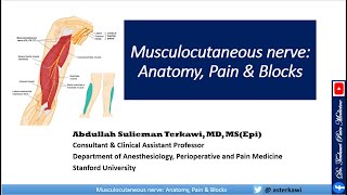 Musculocutaneous nerve Anatomy Pain And Blocks [upl. by Amalbergas606]