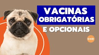 247  QUAIS SÃO AS VACINAS PARA CACHORRO TOMAR [upl. by Rae]