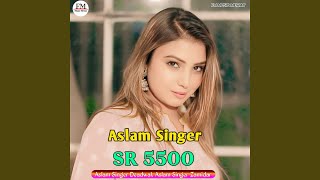 Aslam Singer SR 5500 [upl. by Nodnalb933]