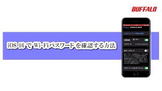 WiFiパスワード確認方法 iOS16 iPhone [upl. by Nolrac]