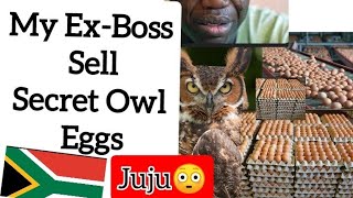 My Boss Has A Big Owl He Supplies Its Eggs To Shops amp Individuals  Latest African Confessions [upl. by Adiasteb59]