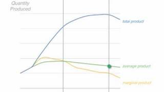 The Theory of Production Marginal Product Average Product [upl. by Llenad155]