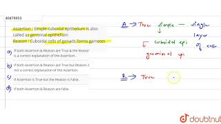 Assertion  Simple cuboidal epithelium is also called as germinal epithelium Reason [upl. by Rillis]