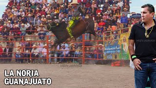 ¡Que locura de Jaripeo 20 DESTRUCTORES DE MEMO OCAMPO EN LA NORIA GUANAJUATO 29 DICIEMBRE  Jaripeo [upl. by Jules]