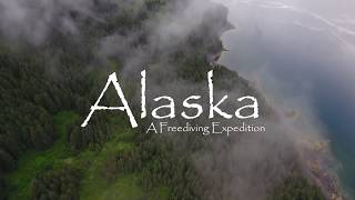 SPEARFISHING ALASKA 2017 [upl. by Ffej]