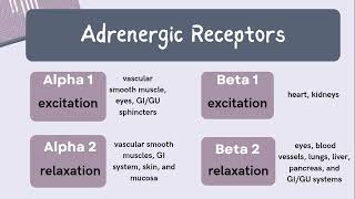 Np Learning  Review of Alpha and Beta Adrenergic Receptors 🧠 [upl. by Noirred42]