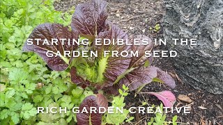 Starting Edibles In The Garden From Seed [upl. by Meeharbi94]