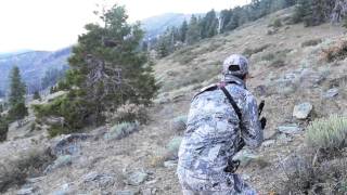 quotHIGH AND LOWquot Bowhunting Blacktails in the High Country [upl. by Ecnerewal704]