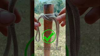 The strongest way to tie a rope to a tree post shorts snake rope knot [upl. by Yesnyl]