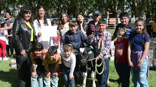 Positivo balance deja el 26º Concurso Crianza del Ternero en Sociedad rural de 9 de Julio [upl. by Yv81]