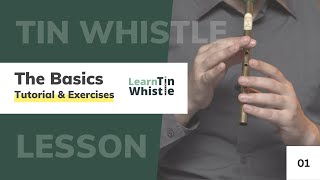 Tin Whistle Tutorial for Beginners  Blowing Basics amp D Scale Exercise [upl. by Aneleasor475]