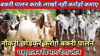 लाखों नहीं करोड़ों रुपए कमाओगे बकरी पालन करकेGoat farmingbusiness idea [upl. by Winther]