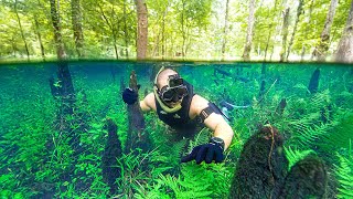 Searching for Treasure in FLOODED Forest Underwater RARE Opportunity [upl. by Musette]