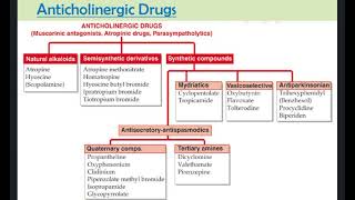 Anticholinergic Drugs [upl. by Alyahsal]