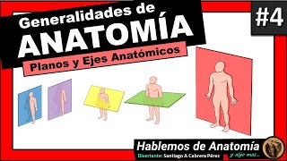 🔴 ANATOMIA 👉 PLANOS Y EJES DEL CUERPO HUMANO 🟩 ANATOMÍA GENERALIDADES 4 🟪Hablemos de Anatomía y Alg [upl. by Tatiania]